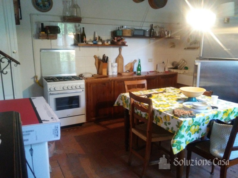 Immagine 3
