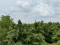 Thumbnail 22